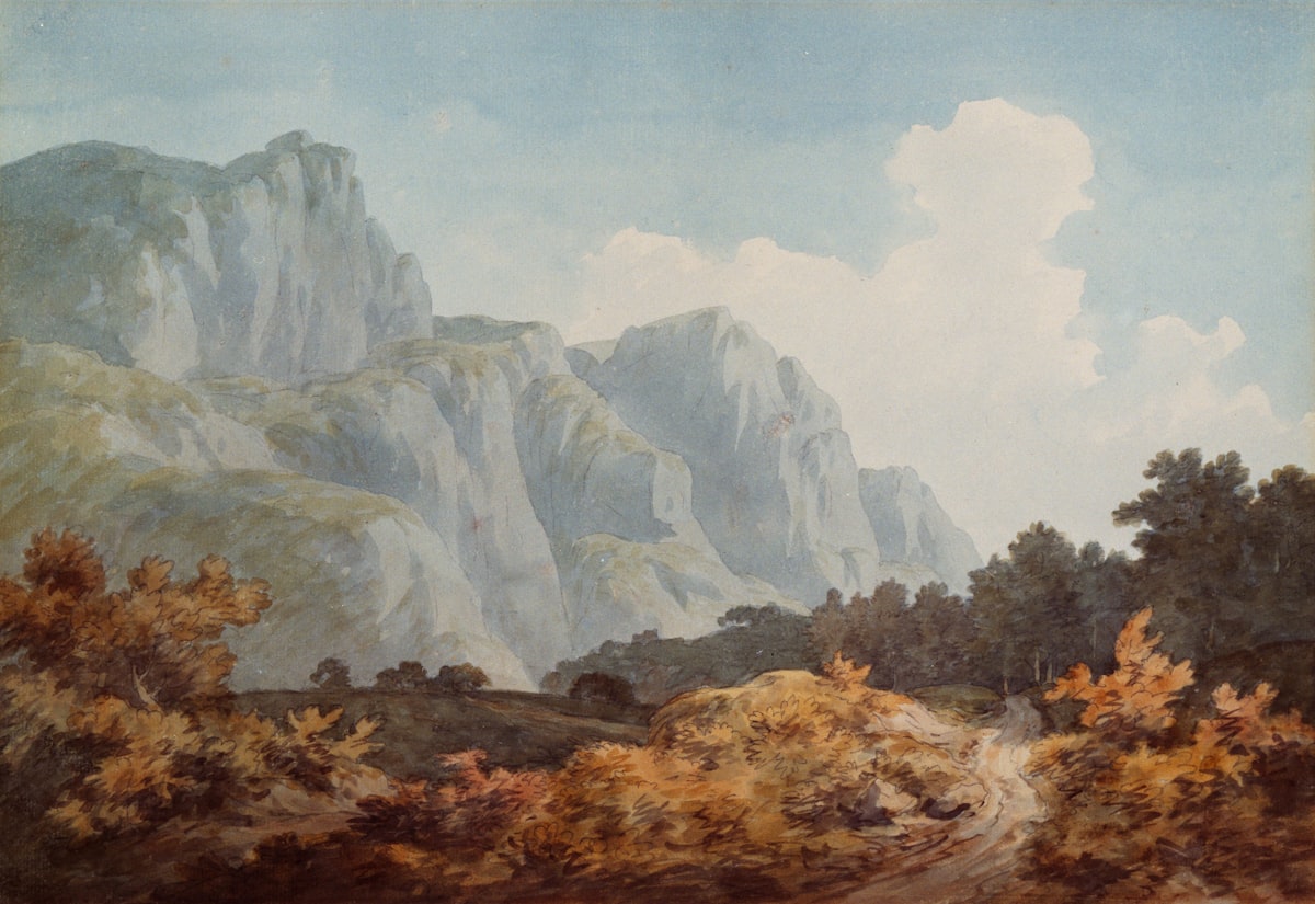 Artistic representation blending natural and digital elements